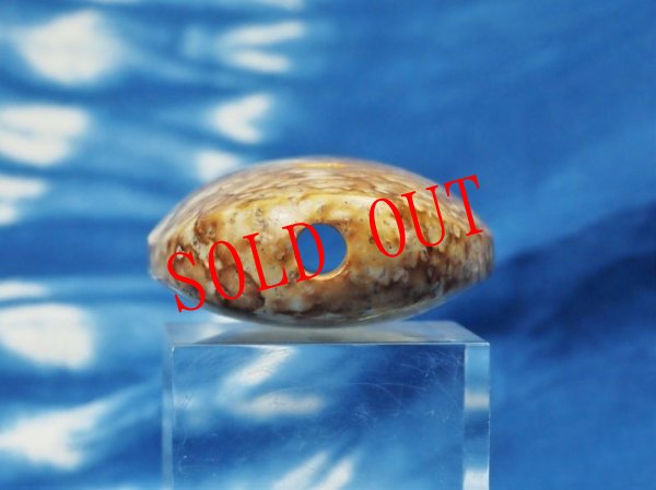 画像8: 縄文石笛neo鷲声モデル　プロトタイプ (8)