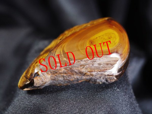 画像6: Knobさんモデル・タイガーズアイ石笛（半球底吹き孔・お買上予約済） (6)