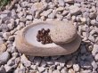 画像6: 縄文式コーヒーミル石皿セット（コーヒー豆・木の実・顔料などの擂り潰し用・受注生産品）のご注文はこちらから！ (6)