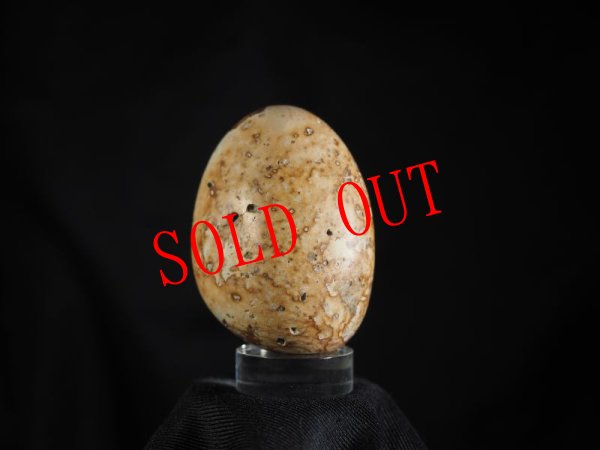 画像2: エコノミー石笛（1孔・姫川薬石） (2)