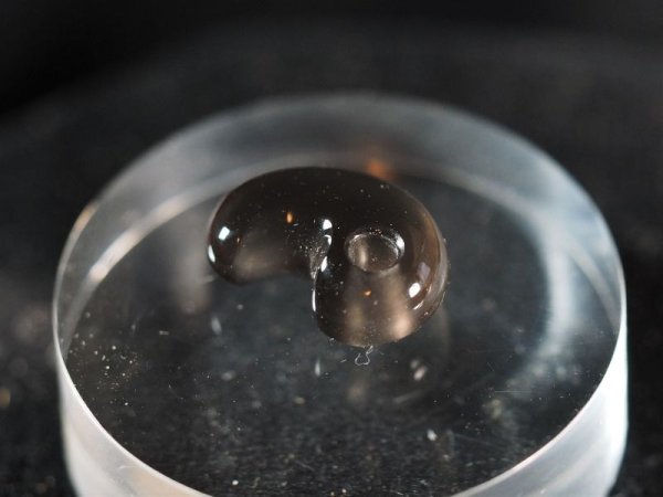 画像5: 黒曜石　超小型勾玉（13mmサイズ・ペンダントトップ） (5)