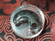 画像2: 出雲大社の宝物　真名井の勾玉モデル（蛇紋岩製・ほぼ実物大の33mmサイズ） (2)