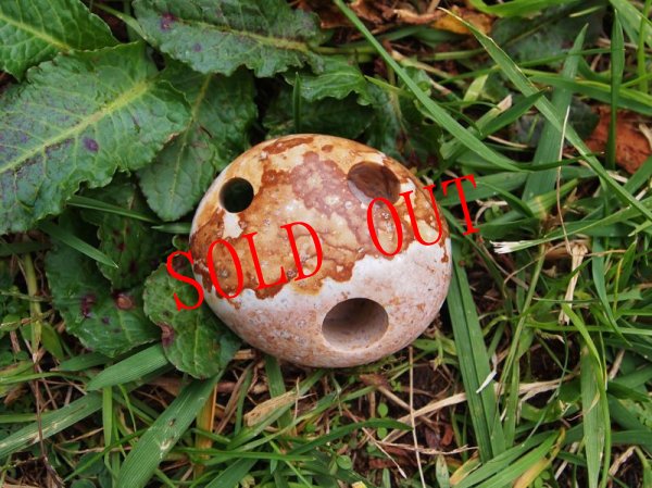 ギョエ〜という表情